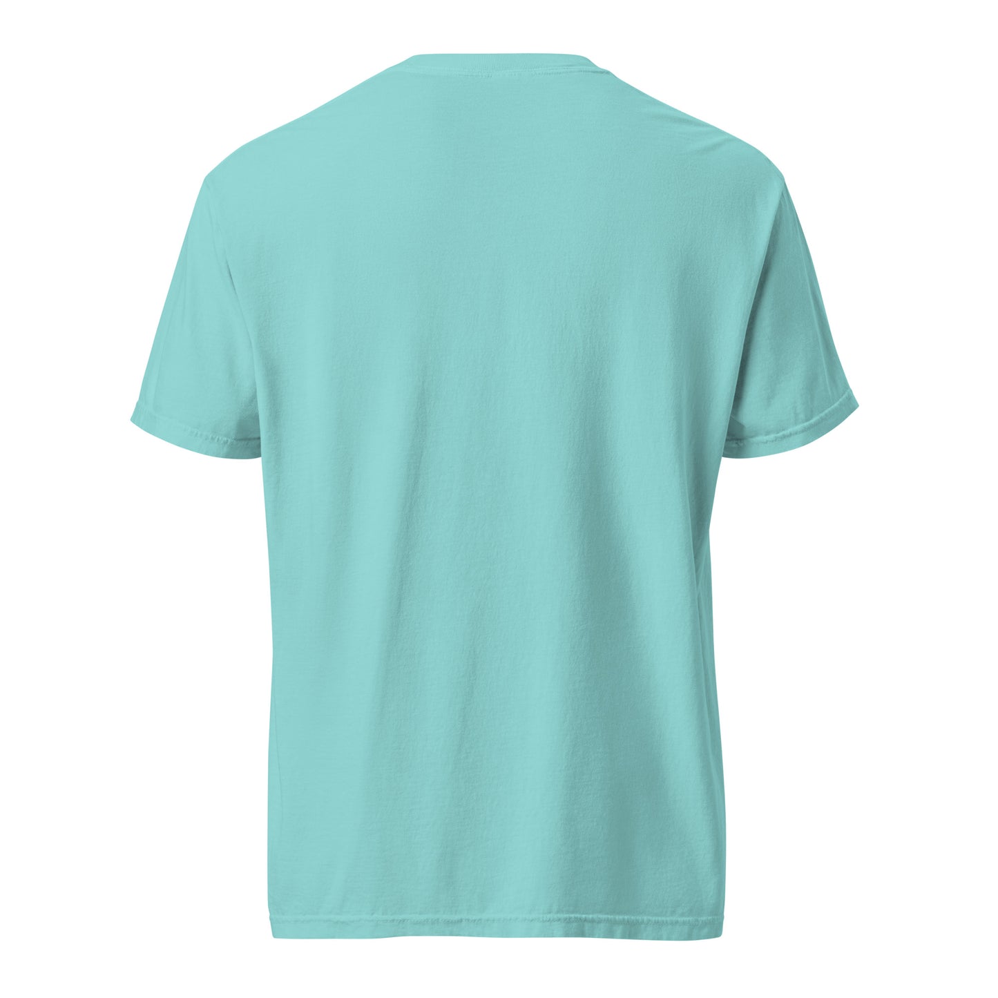 RX. Unisex garment-dyed heavyweight t-shirt