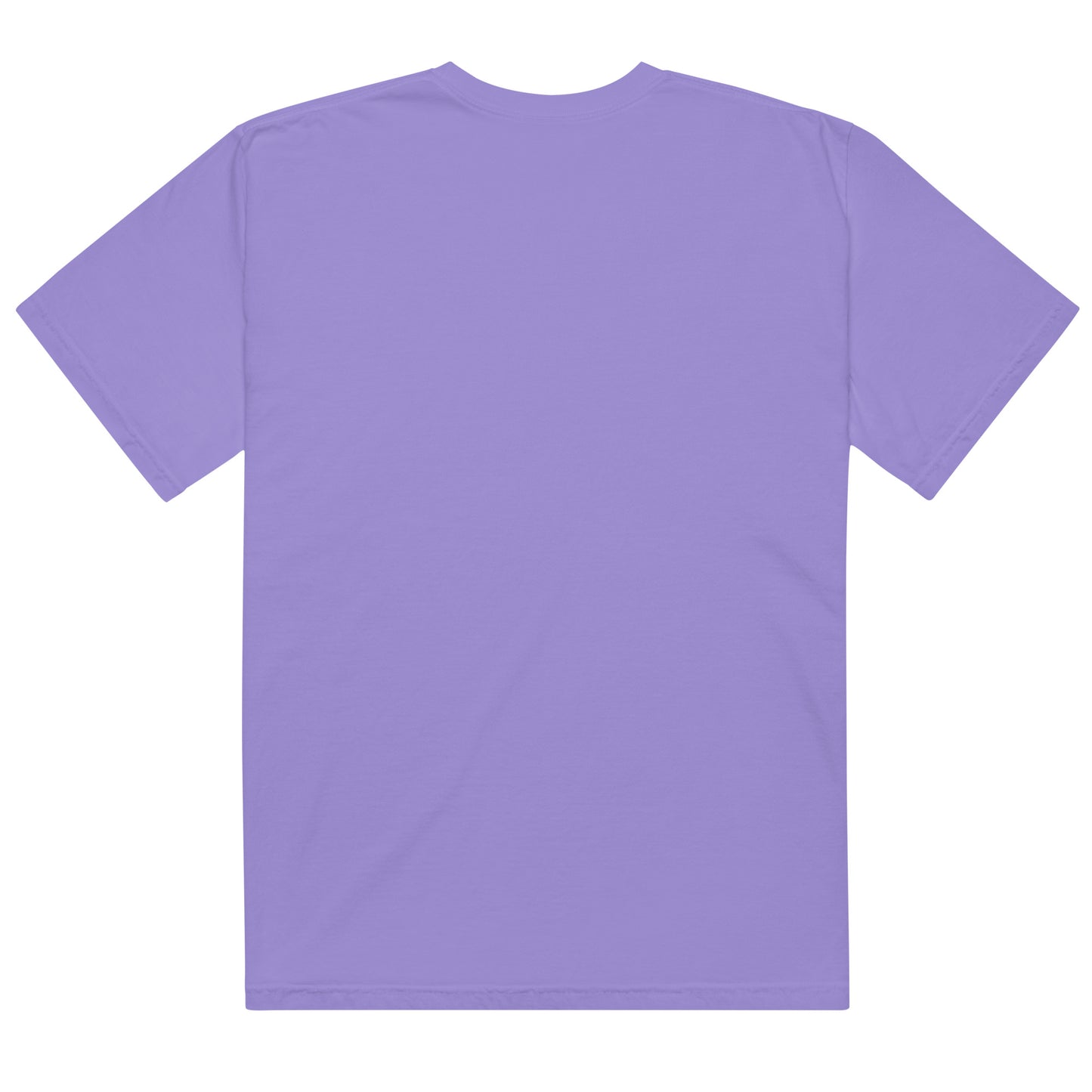 RX. Unisex garment-dyed heavyweight t-shirt